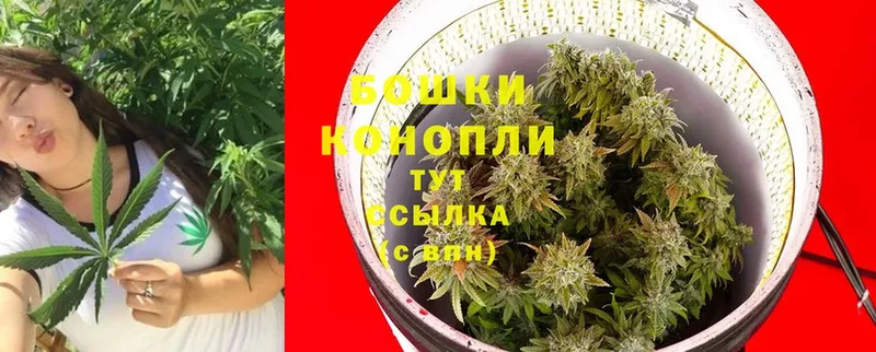 Марихуана OG Kush  Трубчевск 